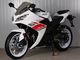 Intossichi i motocicli di sport della via del motore, 250cc raffreddano il colore di bianco delle bici di sport/bici della via fornitore